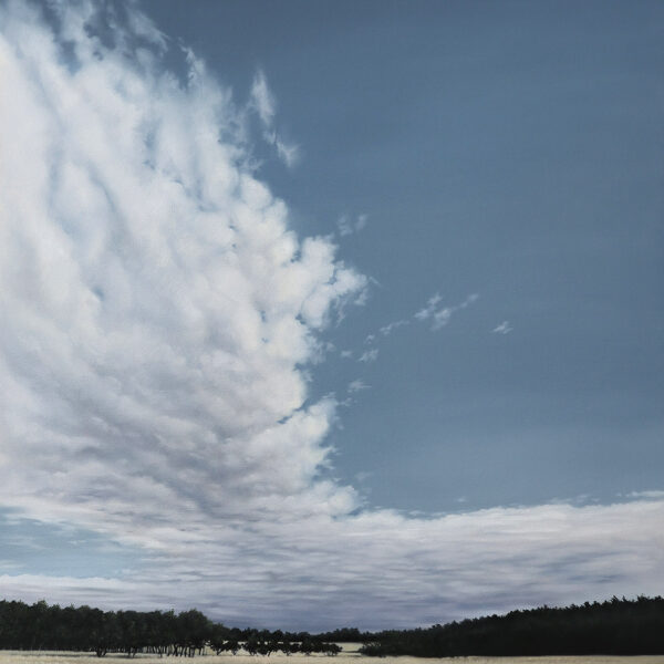 BEZ POŚPIECHU - obraz olejny 80x100 cm